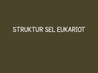 STRUKTUR SEL EUKARIOT
 