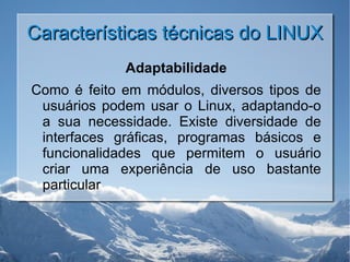 Características técnicas do LINUX Adaptabilidade Como é feito em módulos, diversos tipos de usuários podem usar o Linux, adaptando-o a sua necessidade. Existe diversidade de interfaces gráficas, programas básicos e funcionalidades que permitem o usuário criar uma experiência de uso bastante particular 