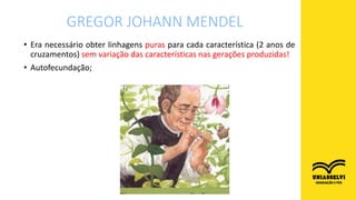 • Era necessário obter linhagens puras para cada característica (2 anos de
cruzamentos) sem variação das características nas gerações produzidas!
• Autofecundação;
GREGOR JOHANN MENDEL
 