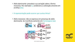 • Alelo dominante: prevalece sua variação sobre a forma
recessiva. Por exemplo A, condiciona a coloração amarela em
ervilhas (Aa).
• A representação pode ocorrer por outras letras!
• Alelo recessivo: não se expressa em presença de alelo
dominante. Se manifesta somente em homozigose (aa).
FONTE DA IMAGEM: https://bit.ly/2VJqsly
 