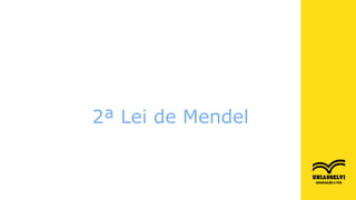 2ª Lei de Mendel
 