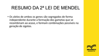 • Os alelos de ambos os genes são segregados de forma
independente durante a formação dos gametas que se
recombinam ao acaso, e formam combinações possíveis na
geração de zigotos.
RESUMO DA 2ª LEI DE MENDEL
 