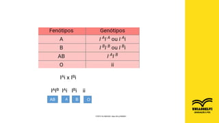 FONTE DA IMAGEM: https://bit.ly/3f2M981
IAi x IBi
IAIB IAi IBi ii
AB A B O
 