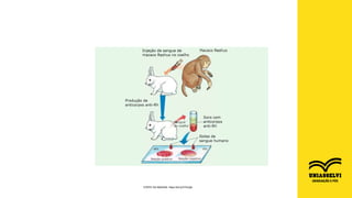 FONTE DA IMAGEM: https://bit.ly/2YhcQjd
 