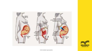 FONTE DA IMAGEM: https://bit.ly/3aP9czI
 