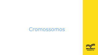 Genética
Unidade 01 – Tópico 03
Cromossomos
Cromossomos
 