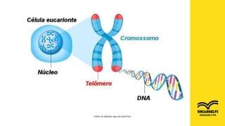 FONTE DA IMAGEM: https://bit.ly/3bPThSX
 