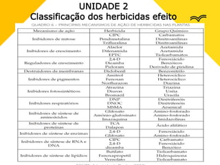 UNIDADE 2
Classificação dos herbicidas efeito
 