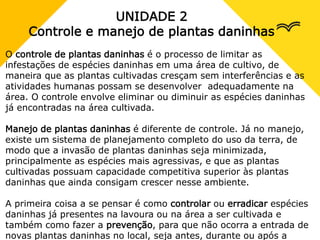 UNIDADE 2
Controle e manejo de plantas daninhas
O controle de plantas daninhas é o processo de limitar as
infestações de espécies daninhas em uma área de cultivo, de
maneira que as plantas cultivadas cresçam sem interferências e as
atividades humanas possam se desenvolver adequadamente na
área. O controle envolve eliminar ou diminuir as espécies daninhas
já encontradas na área cultivada.
Manejo de plantas daninhas é diferente de controle. Já no manejo,
existe um sistema de planejamento completo do uso da terra, de
modo que a invasão de plantas daninhas seja minimizada,
principalmente as espécies mais agressivas, e que as plantas
cultivadas possuam capacidade competitiva superior às plantas
daninhas que ainda consigam crescer nesse ambiente.
A primeira coisa a se pensar é como controlar ou erradicar espécies
daninhas já presentes na lavoura ou na área a ser cultivada e
também como fazer a prevenção, para que não ocorra a entrada de
novas plantas daninhas no local, seja antes, durante ou após a
 