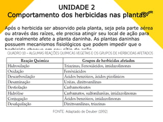 UNIDADE 2
Comportamento dos herbicidas nas plantas
Após o herbicida ser absorvido pela planta, seja pela parte aérea
ou através das raízes, ele precisa atingir seu local de ação para
que realmente afete a planta daninha. As plantas daninhas
possuem mecanismos fisiológicos que podem impedir que o
herbicida chegue em seu sítio de ação.
 