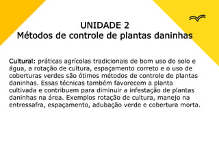 UNIDADE 2
Métodos de controle de plantas daninhas
Cultural: práticas agrícolas tradicionais de bom uso do solo e
água, a rotação de cultura, espaçamento correto e o uso de
coberturas verdes são ótimos métodos de controle de plantas
daninhas. Essas técnicas também favorecem a planta
cultivada e contribuem para diminuir a infestação de plantas
daninhas na área. Exemplos rotação de cultura, manejo na
entressafra, espaçamento, adubação verde e cobertura morta.
 
