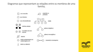 Diagramas que representam as relações entre os membros de uma
família;
 
