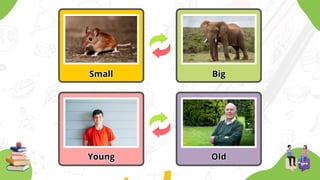 Small
Small Big
Big
Young
Young Old
Old
 