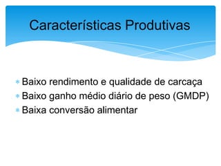 Características Produtivas

Baixo rendimento e qualidade de carcaça
Baixo ganho médio diário de peso (GMDP)
Baixa conversão alimentar

 