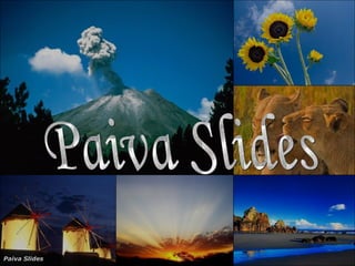 Paiva Slides 