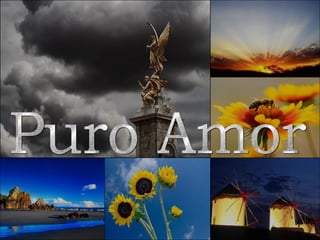 Puro Amor 