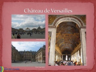 Fonte: Felipe Babler




                        Fonte: Felipe Babler
Fonte: Felipe Babler
 