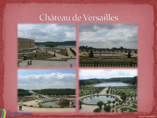 Fonte: Felipe Babler
 