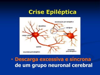 Crise Epiléptica




• Descarga excessiva e síncrona
  de um grupo neuronal cerebral
 
