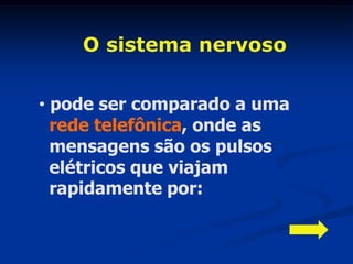 O sistema nervoso

• pode ser comparado a uma
  rede telefônica, onde as
  mensagens são os pulsos
  elétricos que viajam
  rapidamente por:
 