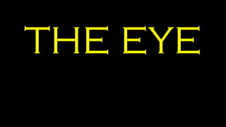 THE EYE
 