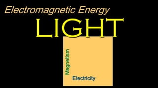 LIGHT
 