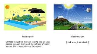 Water cycle
Climate regulation through cooling the air that
passes through them and the release of water
vapour which leads to cloud formation.
Albedo values
(dark area, low albedo)
 