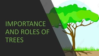 IMPORTANCE
AND ROLES OF
TREES
 