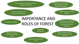 Resources of food , raw
material and medicine
Provide habitat for biodiversity and
livehood for human
Watershed
protection
Provide the oxygen
Help maintaining water
cycle
Mitigate climate change –
absorbing the harmful
greenhouse gasses
Act as natural buffer in
natural disaster- rainfall
and flood
Reducing and slowing the
amount of erosion and
chemical that reach
waterway
Stabilizing the ecological
stability
Economic benefit –
provide timber and
wood
IMPORTANCE AND
ROLES OF FOREST
 
