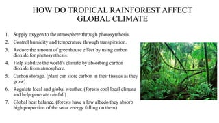 1. Supply oxygen to the atmosphere through photosynthesis.
2. Control humidity and temperature through transpiration.
3. Reduce the amount of greenhouse effect by using carbon
dioxide for photosynthesis.
4. Help stabilize the world’s climate by absorbing carbon
dioxide from atmosphere.
5. Carbon storage. (plant can store carbon in their tissues as they
grow)
6. Regulate local and global weather. (forests cool local climate
and help generate rainfall)
7. Global heat balance. (forests have a low albedo,they absorb
high proportion of the solar energy falling on them)
HOW DO TROPICAL RAINFOREST AFFECT
GLOBAL CLIMATE
 