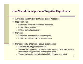 One Neural Consequence of Negative Experiences

!! Amygdala (“alarm bell”) initiates stress response
!! Hippocampus:
    !! Forms and retrieves contextual memories
    !! Inhibits the amygdala
    !! Inhibits cortisol production

!! Cortisol:
    !! Stimulates and sensitizes the amygdala
    !! Inhibits and can shrink the hippocampus



!! Consequently, chronic negative experiences:
    !! Sensitize the amygdala alarm bell
    !! Weaken the hippocampus: this reduces memory capacities and the
       inhibition of amygdala and cortisol production.
    !! Thus creating vicious cycles in the NS, behavior, and mind
                                                                   111
 