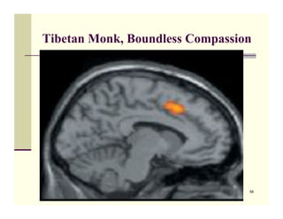 Tibetan Monk, Boundless Compassion




                                 58
 