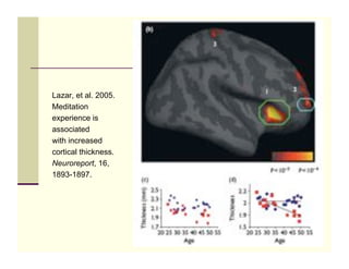 Lazar, et al. 2005.
Meditation
experience is
associated
with increased
cortical thickness.
Neuroreport, 16,
1893-1897.




                      60
 
