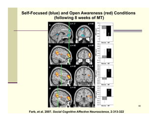 Self-Focused (blue) and Open Awareness (red) Conditions
                (following 8 weeks of MT)




                                                                           66


   Farb, et al. 2007. Social Cognitive Affective Neuroscience, 2:313-322
 
