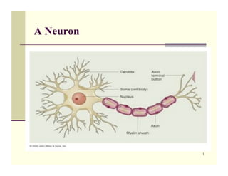 A Neuron




           7
 