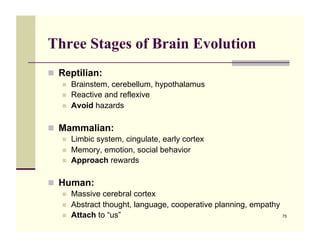 Three Stages of Brain Evolution
!! Reptilian:
   !!   Brainstem, cerebellum, hypothalamus
   !!   Reactive and reflexive
   !!   Avoid hazards

!! Mammalian:
   !!   Limbic system, cingulate, early cortex
   !!   Memory, emotion, social behavior
   !!   Approach rewards

!! Human:
   !!   Massive cerebral cortex
   !!   Abstract thought, language, cooperative planning, empathy
   !!   Attach to “us”                                            75
 