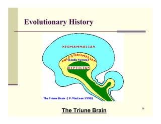 Evolutionary History




          The Triune Brain
                             76
 