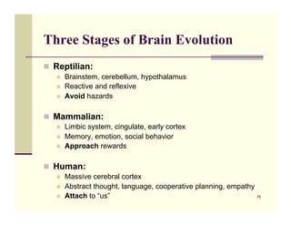 Three Stages of Brain Evolution
!! Reptilian:
   !!   Brainstem, cerebellum, hypothalamus
   !!   Reactive and reflexive
 ...