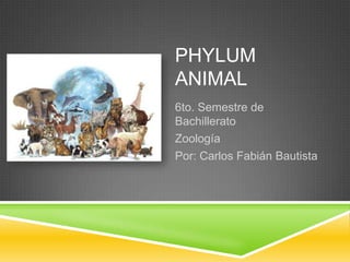 PHYLUM
ANIMAL
6to. Semestre de
Bachillerato
Zoología
Por: Carlos Fabián Bautista
 