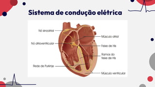 Sistema de condução elétrica
 