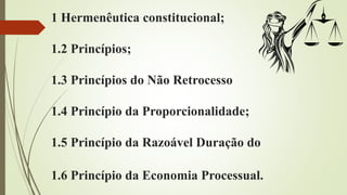 1 Hermenêutica constitucional;
1.2 Princípios;
1.3 Princípios do Não Retrocesso
1.4 Princípio da Proporcionalidade;
1.5 Princípio da Razoável Duração do
1.6 Princípio da Economia Processual.
 
