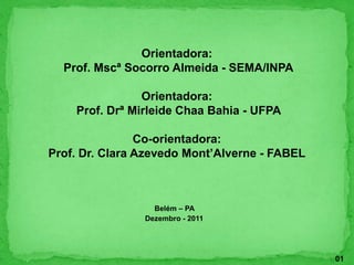 Orientadora:
Prof. Mscª Socorro Almeida - SEMA/INPA
Orientadora:
Prof. Drª Mirleide Chaa Bahia - UFPA
Co-orientadora:
Prof. Dr. Clara Azevedo Mont’Alverne - FABEL
Belém – PA
Dezembro - 2011
01
 