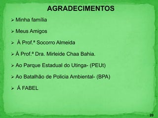  Minha família
 Meus Amigos
 À Prof.ª Socorro Almeida
 À Prof.ª Dra. Mirleide Chaa Bahia.
 Ao Parque Estadual do Utinga- (PEUt)
 Ao Batalhão de Policia Ambiental- (BPA)
 Á FABEL
AGRADECIMENTOS
20
 