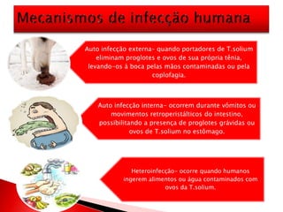 Auto infecção externa– quando portadores de T.solium
eliminam proglotes e ovos de sua própria tênia,
levando-os à boca pelas mãos contaminadas ou pela
coplofagia.
Auto infecção interna- ocorrem durante vômitos ou
movimentos retroperistálticos do intestino,
possibilitando a presença de proglotes grávidas ou
ovos de T.solium no estômago.
Heteroinfecção- ocorre quando humanos
ingerem alimentos ou água contaminados com
ovos da T.solium.
 