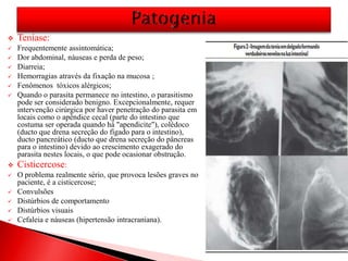  Teníase:
 Frequentemente assintomática;
 Dor abdominal, náuseas e perda de peso;
 Diarreia;
 Hemorragias através da fixação na mucosa ;
 Fenômenos tóxicos alérgicos;
 Quando o parasita permanece no intestino, o parasitismo
pode ser considerado benigno. Excepcionalmente, requer
intervenção cirúrgica por haver penetração do parasita em
locais como o apêndice cecal (parte do intestino que
costuma ser operada quando há "apendicite"), colédoco
(ducto que drena secreção do fígado para o intestino),
ducto pancreático (ducto que drena secreção do pâncreas
para o intestino) devido ao crescimento exagerado do
parasita nestes locais, o que pode ocasionar obstrução.
 Cisticercose:
 O problema realmente sério, que provoca lesões graves no
paciente, é a cisticercose;
 Convulsões
 Distúrbios de comportamento
 Distúrbios visuais
 Cefaleia e náuseas (hipertensão intracraniana).
 