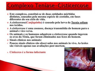  Este complexo, constitui-se de duas entidades mórbidas
distintas, causadas pela mesma espécie de cestódio, em fases
diferentes do seu ciclo de vida.
 A cisticercose(Canjiquinha) é causada pela larva da Taenia solium
nos tecidos.
 A cisticercose é uma zoonose, doença transmitida do homem para o
animal e vice-versa.
 Os animais e os humanos adquirem a cisticercose quando ingerem
os ovos da Tênia, que foram eliminados nas fezes do homem.
 Sinais clínicos nos animais:
 Poucos sinais clínicos são observados nos animais in vivo. As lesões
são visíveis apenas nas avaliações post mortem.
 Cisticerco é a forma infectante
 
