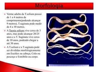  Verme adulto da T.solium possui
de 1 a 4 metros de
comprimento(podendo alcançar
9 metros), T.saginata pode medir
de 4 a 10 metros.
 A Taenia solium vive cerca de 3
anos, mas pode alcançar 20/25
anos e a T. Saginata vive cerca
de 10 anos, podendo chegar a
até 30 anos.
 A T.solium e a T.saginata pode
ser divididas morfologicamente
em Escólex ou cabeça, Colo ou
pescoço e Estróbilo ou corpo.
 