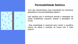 Uma das características mais importantes da membrana
plasmática é sua permeabilidade seletiva.
Isso significa que a membrana permite a passagem de
certas substâncias enquanto impede a passagem de
outras.
Esta propriedade é essencial para manter o equilíbrio
interno da célula e controlar as trocas com o meio
externo.
Permeabilidade Seletiva
 