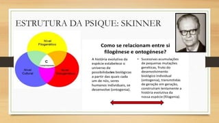 ESTRUTURA DA PSIQUE: SKINNER
 