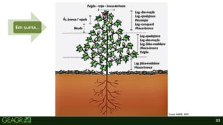 33
Em suma...
Fonte: AMPA, 2021.
 